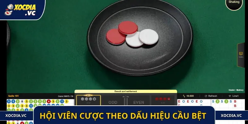 Hội viên cược theo dấu hiệu cầu bệt