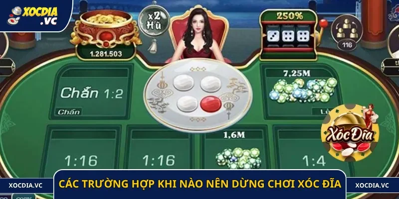 Khi nào nên dừng chơi xóc đĩa và những sai lầm