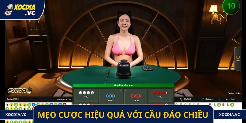 Mẹo cược hiệu quả với cầu đảo chiều