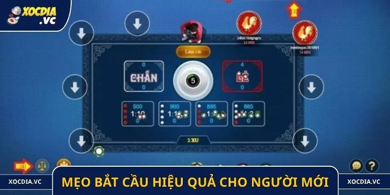 Mẹo bắt cầu hiệu quả cho người mới
