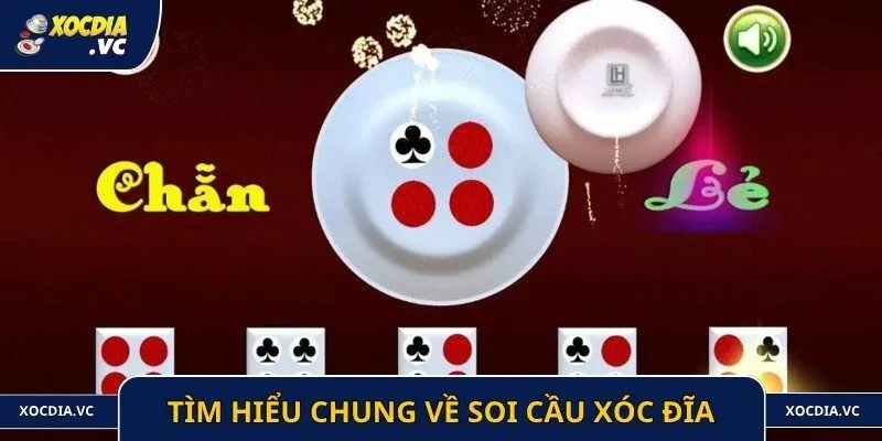 Tìm hiểu chung về soi cầu xóc đĩa