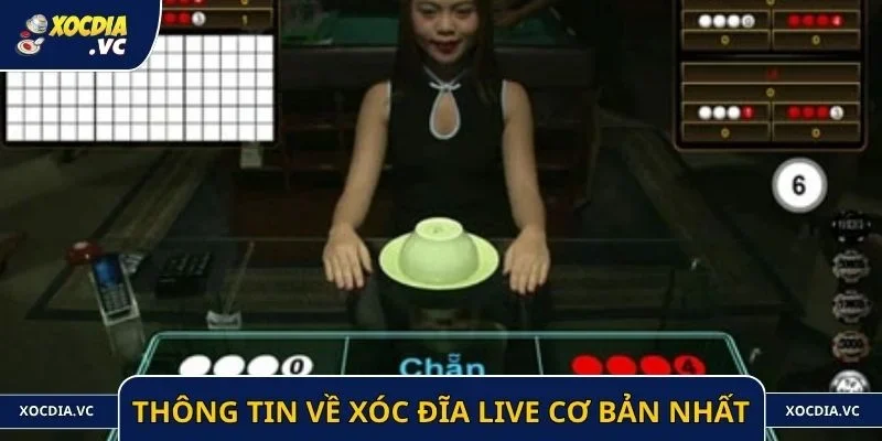 Thông tin chung về xóc đĩa live cơ bản nhất