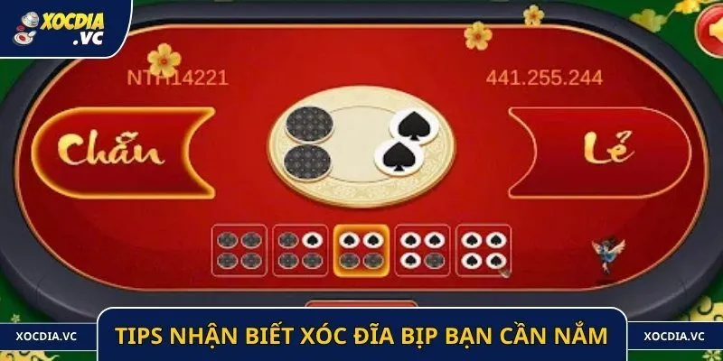 Tips nhận biết xóc đĩa bịp bạn cần nắm