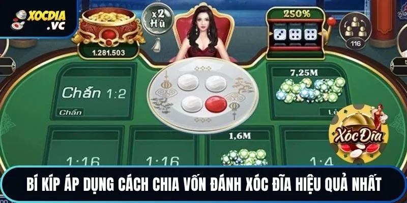 Bí kíp áp dụng cách chia vốn đánh xóc đĩa hiệu quả nhất