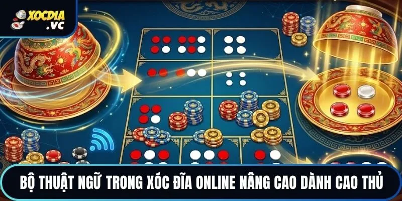 Bộ thuật ngữ trong xóc đĩa online nâng cao dành cao thủ