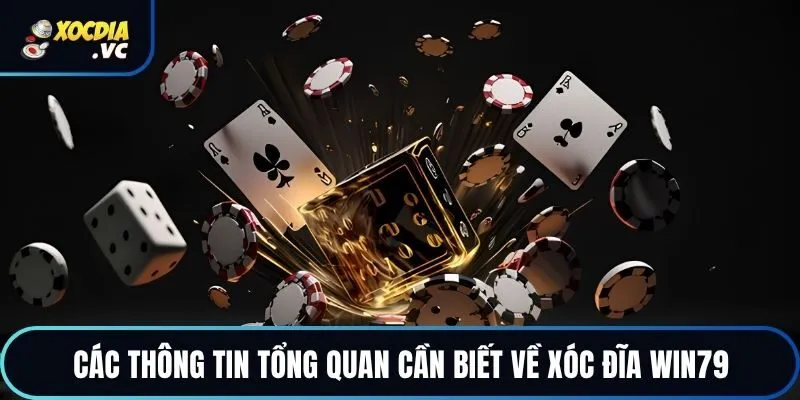Các thông tin tổng quan cần biết về xóc đĩa WIN79