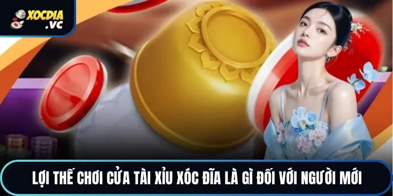 Lợi thế chơi cửa tài xỉu xóc đĩa là gì đối với người mới