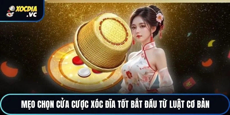 Mẹo chọn cửa cược xóc đĩa tốt bắt đầu từ luật cơ bản